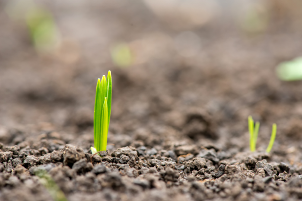 Why we need a shaded taxonomy from green to brown and in between