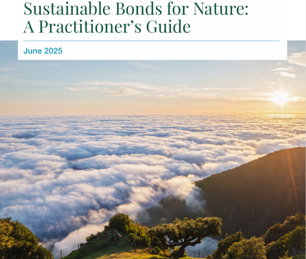 Nature-centered financings: ICMA’s practioners’ guide