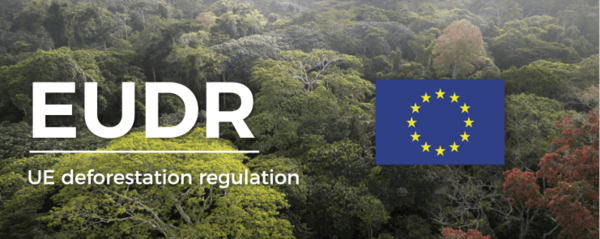 EU Deforestation Regulation: While coulimplementation d be further delayed, EURD is already enhancing supply chain practices