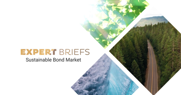 Launch of  the Natixis Experts Briefs series