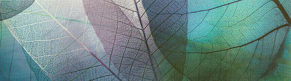 Taking a concerted European approach to sustainable development