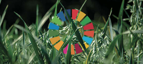 SDG alignment toolbox seminar hosted with IDFC 