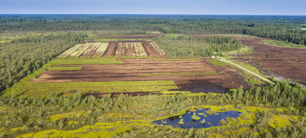 Climate is Dead, Long Live Biodiversity