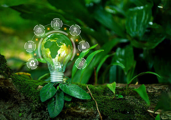 Resolving “Polysemy” in Transition Finance? 