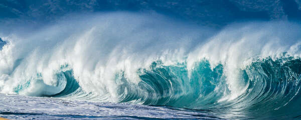 Savor the Excitement of the Ever-Changing M&A Tide 